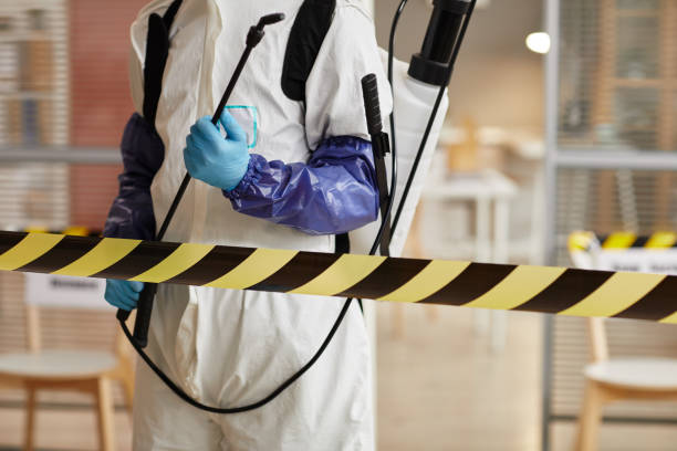 Professional Sewage Cleanup technician working in Vernon, WI